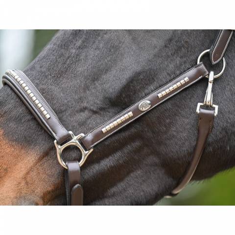 Licol Clincher - Collection One Premium - Jump in