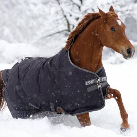 Couverture extérieure Amigo Turnout 600d - Horseware