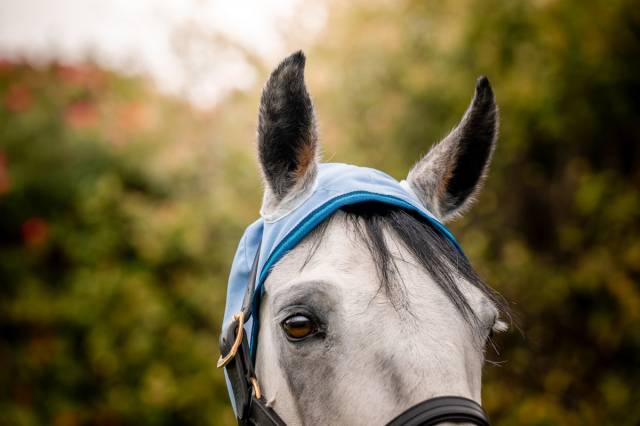 Couverture anti-insectes Ripstop Hoody - Amigo - Polyester 600D