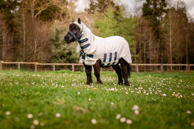 Couverture anti-insectes Amigo Petite Ripstop Hoody - Horseware - Protection UV