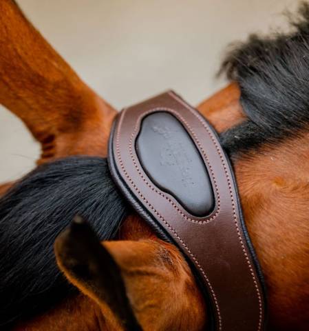 Licol de comp&eacute;tition signature - horseware - confort maximal