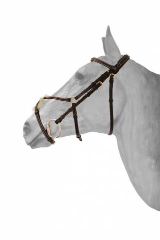 Bridon fancy muserolle mexicaine - HFI - boucles laiton