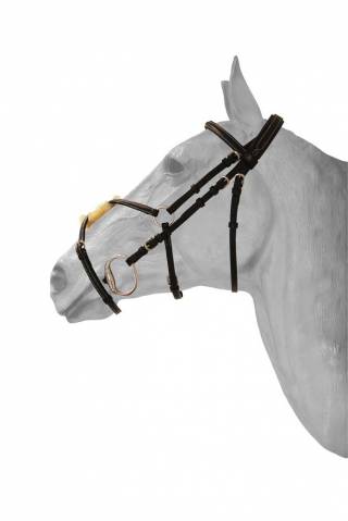 Bridon mexicain Diamond - HFI - muserolle avec swarovski