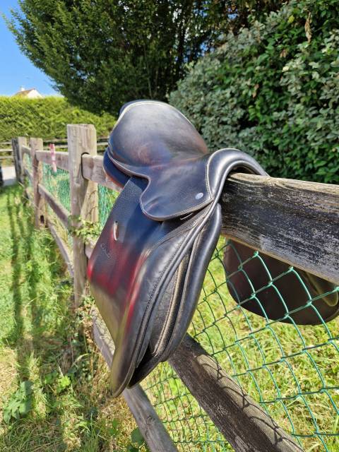 Selle Godignon Jump'in 17"