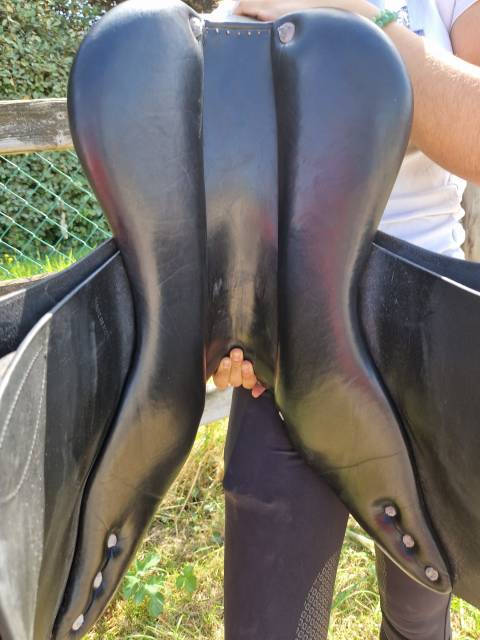 Selle Godignon Jump'in 17"