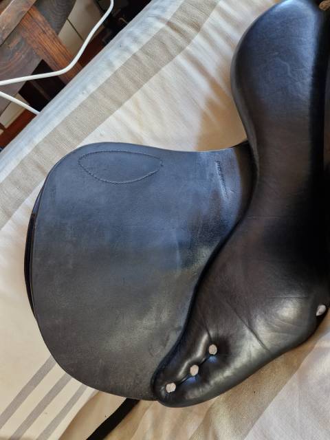 Selle Godignon Jump'in 17"