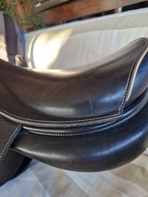 Selle Godignon Jump'in 17"