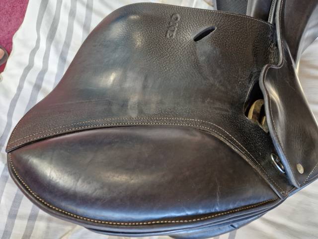 Selle Godignon Jump'in 17"