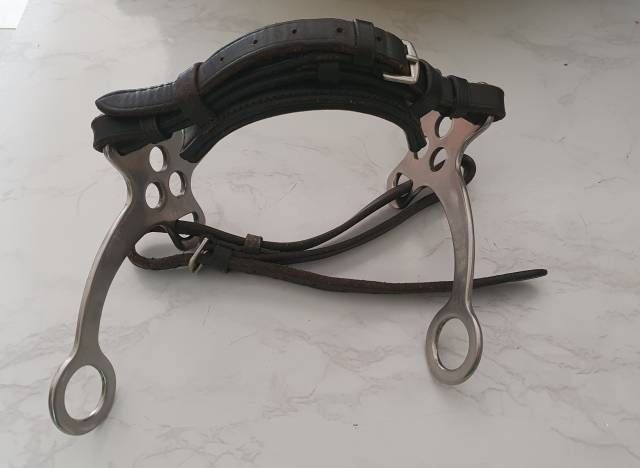 Hackamore 