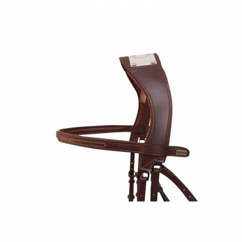 Bridon manet par TdeT