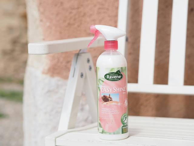Démêlant easy shine - Ravene - 750ml