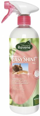 D&eacute;m&ecirc;lant easy shine - Ravene - 750ml
