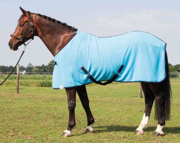 Chemise polaire Harry's horse