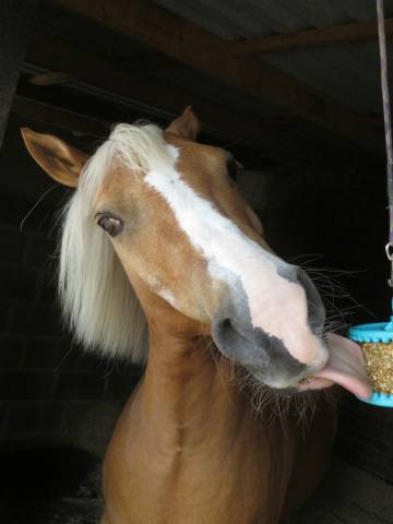 Bonbons likit granola