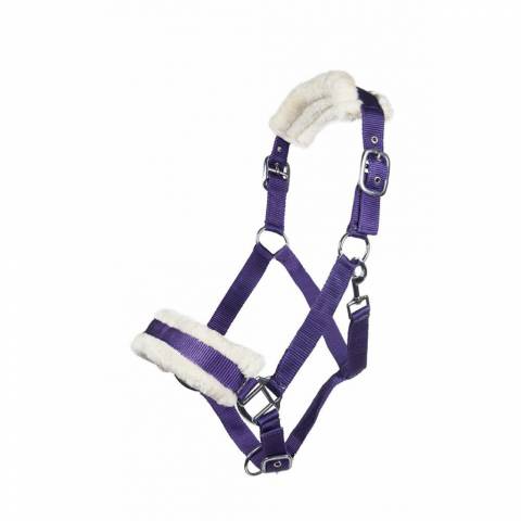 Licol mouton teddy - HKM - Confort optimal