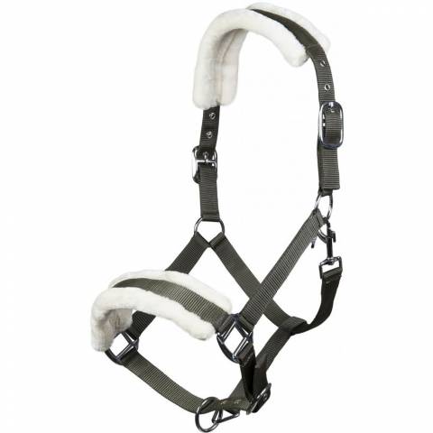 Licol mouton teddy - HKM - Confort optimal