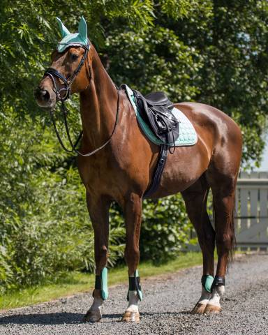Gu&ecirc;tres ouvertes n&eacute;opr&egrave;ne - QHP - protection contre les chocs