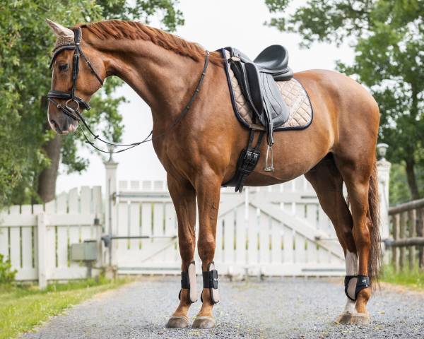 Gu&ecirc;tres ouvertes n&eacute;opr&egrave;ne - QHP - protection contre les chocs