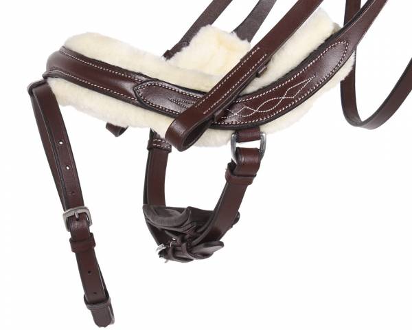 Bridon cuir et mouton ontario QHP