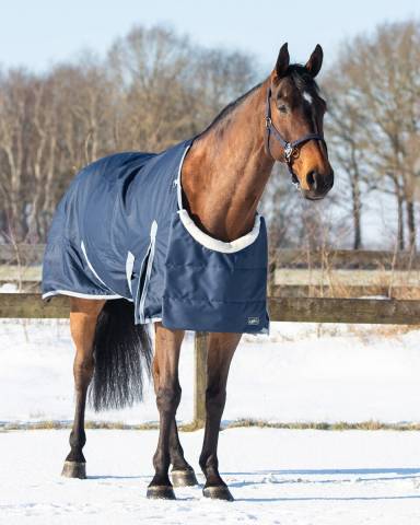 Protecteur de poitrine ontario - QHP