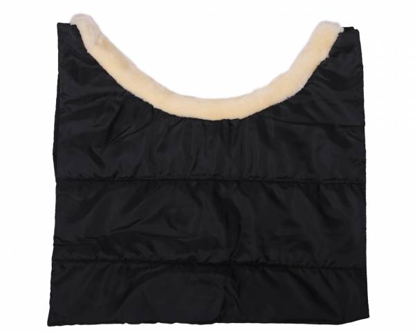 Protecteur de poitrine ontario - QHP