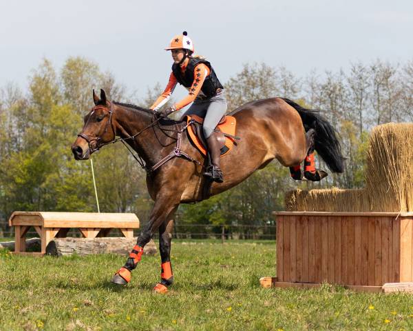 Tapis de selle country Vegas QHP