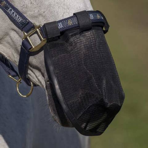 Masque protège naseaux anti mouches - Horze - Fixation velcro