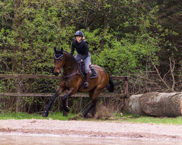 Tapis de selle Eldorado QHP