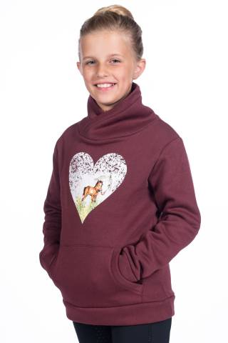 Hoodie dream team bordeaux HKM