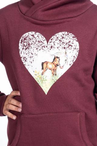 Hoodie dream team bordeaux HKM