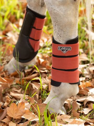 Gu&ecirc;tres de travail ferm&eacute;es Lemieux