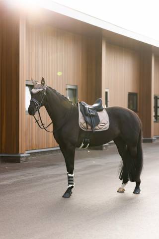 Bonnet a mouches lovely Imperial Riding