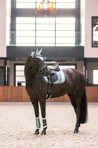 Bonnet a mouches lovely Imperial Riding