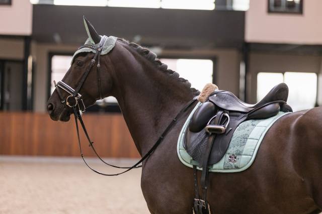 Bonnet a mouches lovely Imperial Riding