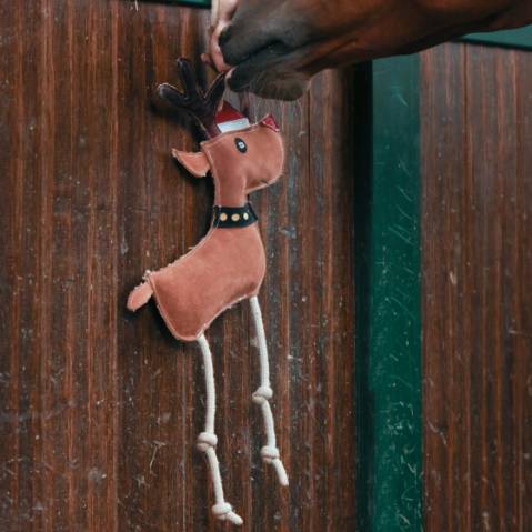 Jouet pour chevaux QHP