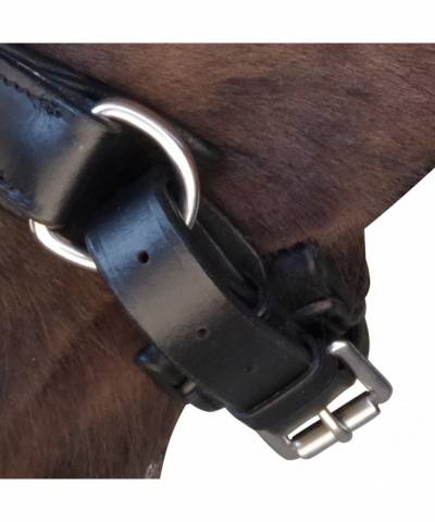 Bridon Canter euro pull back