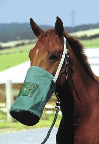 Musette canvas hippotonic - Hippo-Tonic - Renforts plastiques