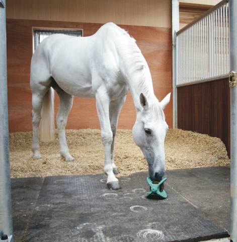 Support jouet bizzy ball - likit