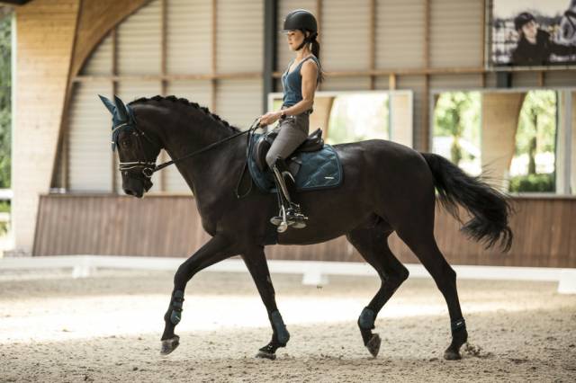 Tapis de dressage Aurora Lamicell