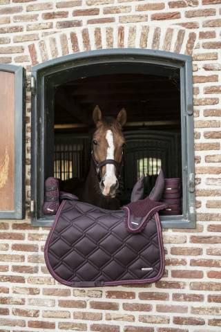 Tapis de dressage Aurora Lamicell