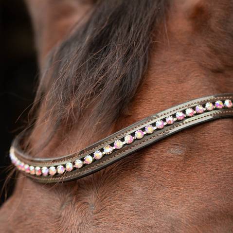 Bridon chique Harry's horse