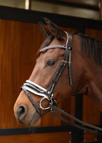 Bridon chique Harry's horse