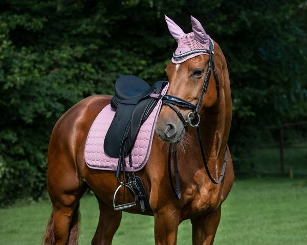 Tapis de dressage Denver QHP