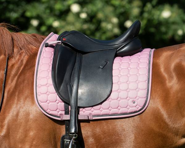 Tapis de dressage Denver QHP