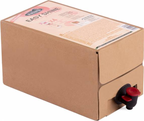 Easy shine recharge 3L - Ravene