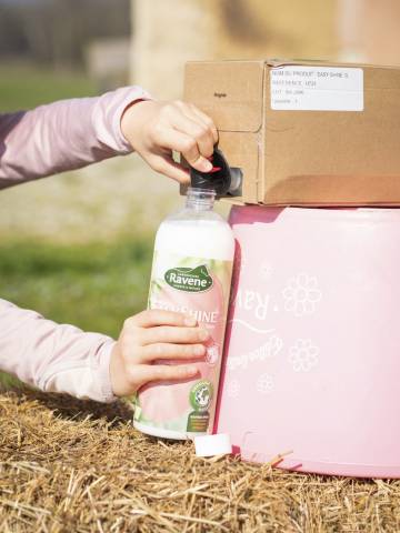 Easy shine recharge 3L - Ravene