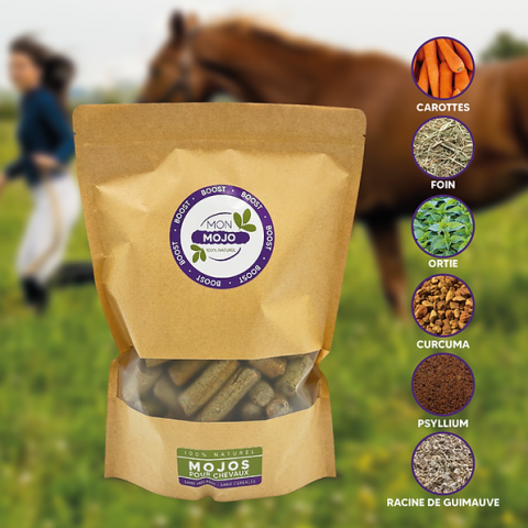 Mon mojo boost 1kg - Complément alimentaire friandises