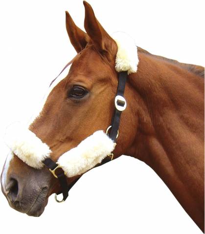 Fourreau mérinos pour licol - Harry's horse - ensemble de 4