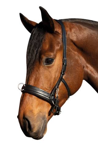 Cavecon comfort cuir Hkm