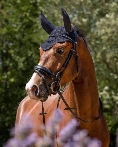 Bonnet soundless flore QHP